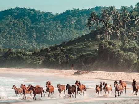 Sumba Berubah Diam-Diam, Ada Revolusi di Balik Tenun dan Sabana