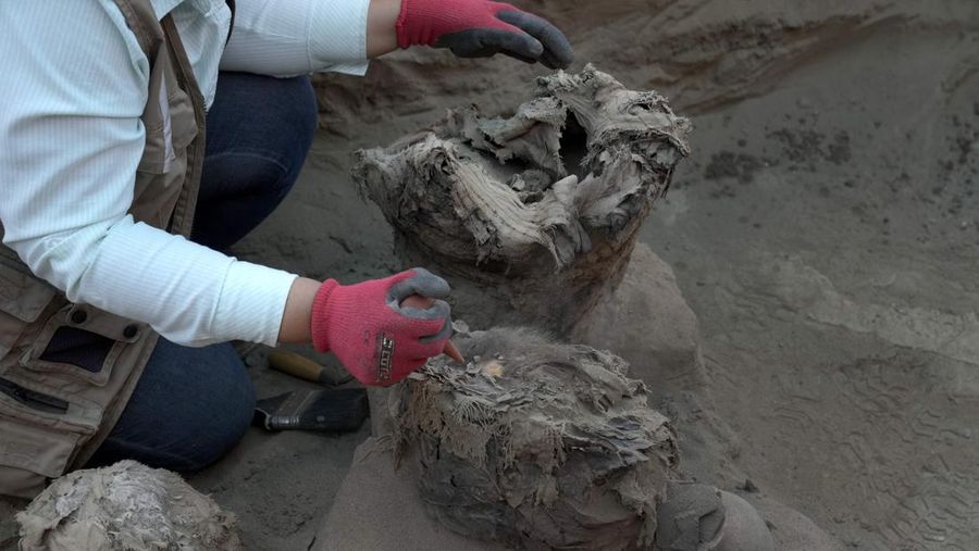 Potret Penemuan Mumi di Jaringan Gas Alam Peru. (AP Photo/Martin Mejia)
