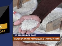 Produksi Beras di 5 Provinsi Turun Hingga Ghana Ngemis Ke IMF