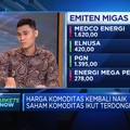 Ada Bursa Karbon, Saham Emiten EBT Ketiban Berkah