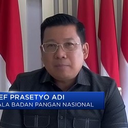 Jauh dari Normal, Stok Beras RI Belum Aman