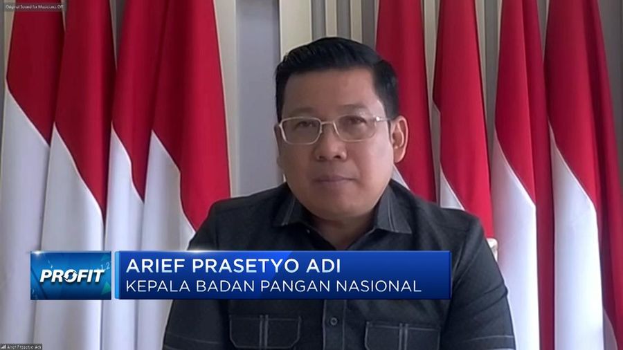 Kepala Badan Pangan Nasional, Arief Prasetio Adi dalam Program Profit. (CNBC Indonesia TV)