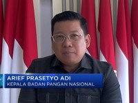 Jauh dari Normal, Stok Beras RI Belum Aman