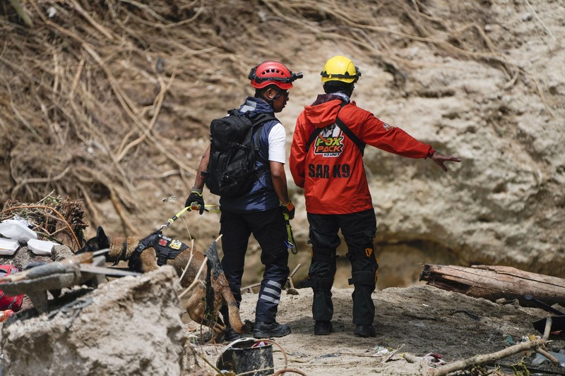 Sungai Naranjo mengalir melalui gubuk Sungai Naranjo mengalir melalui gubuk