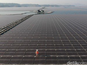Jokowi Resmikan PLTS Terbesar se-ASEAN Besok