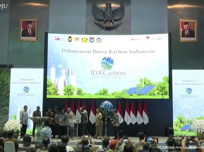 OJK Ingin Transaksi Karbon Ramai & Likuid Usai Perpres 110 Terbit