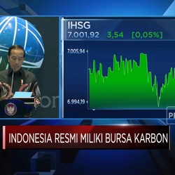 Sah! Indonesia Punya Bursa Karbon