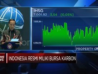 Sah! Indonesia Punya Bursa Karbon