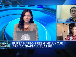 Bursa Karbon Resmi Meluncur, Apa Dampaknya Buat RI?