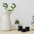 Simak Nasihat & Tips Sukses di Tahun Naga Kayu dari Master Feng Shui