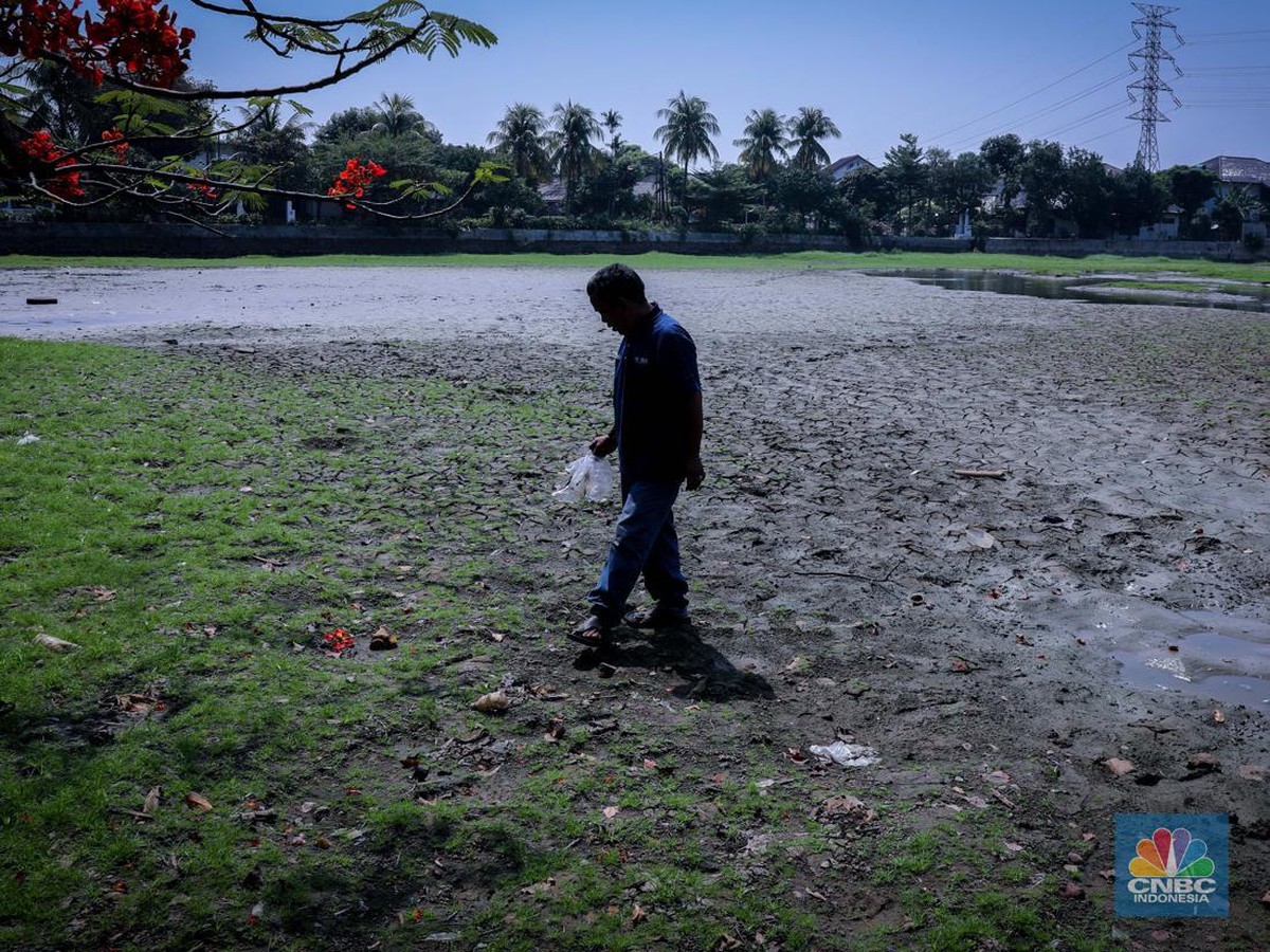 Musim Kemarau 2026 Diprediksi Panjang, Waspadai Risiko Kebakaran Hutan