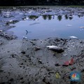 PBB Sebut RI dalam Bahaya, Terungkap Fakta Mengerikan