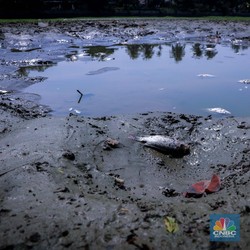 PBB Sebut RI dalam Bahaya, Terungkap Fakta Mengerikan