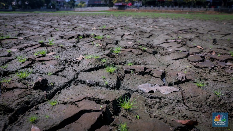 Seorang warga berjalan di tanah yang retak akibat kekeringan di Danau Cinere, Depok, Jawa Barat, Rabu (27/9/2023). (CNBC Indonesia/Faisal Rahman)