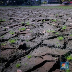 Tanda Kiamat Makin Dekat, Sisa Waktu Penghuni Bumi Cuma 10 Tahun