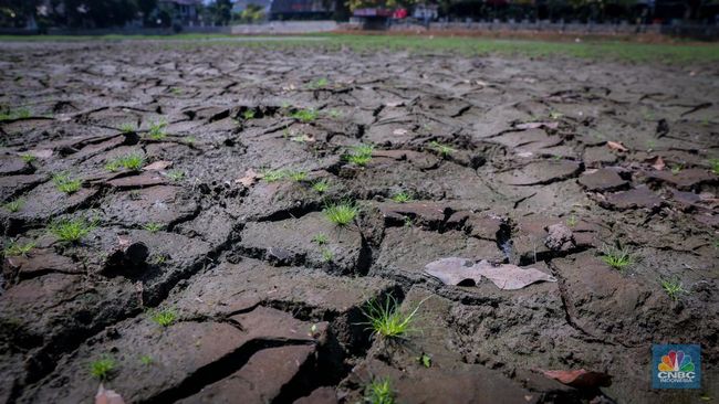 PBB Buka-bukaan Sebut RI di Ambang Malapetaka