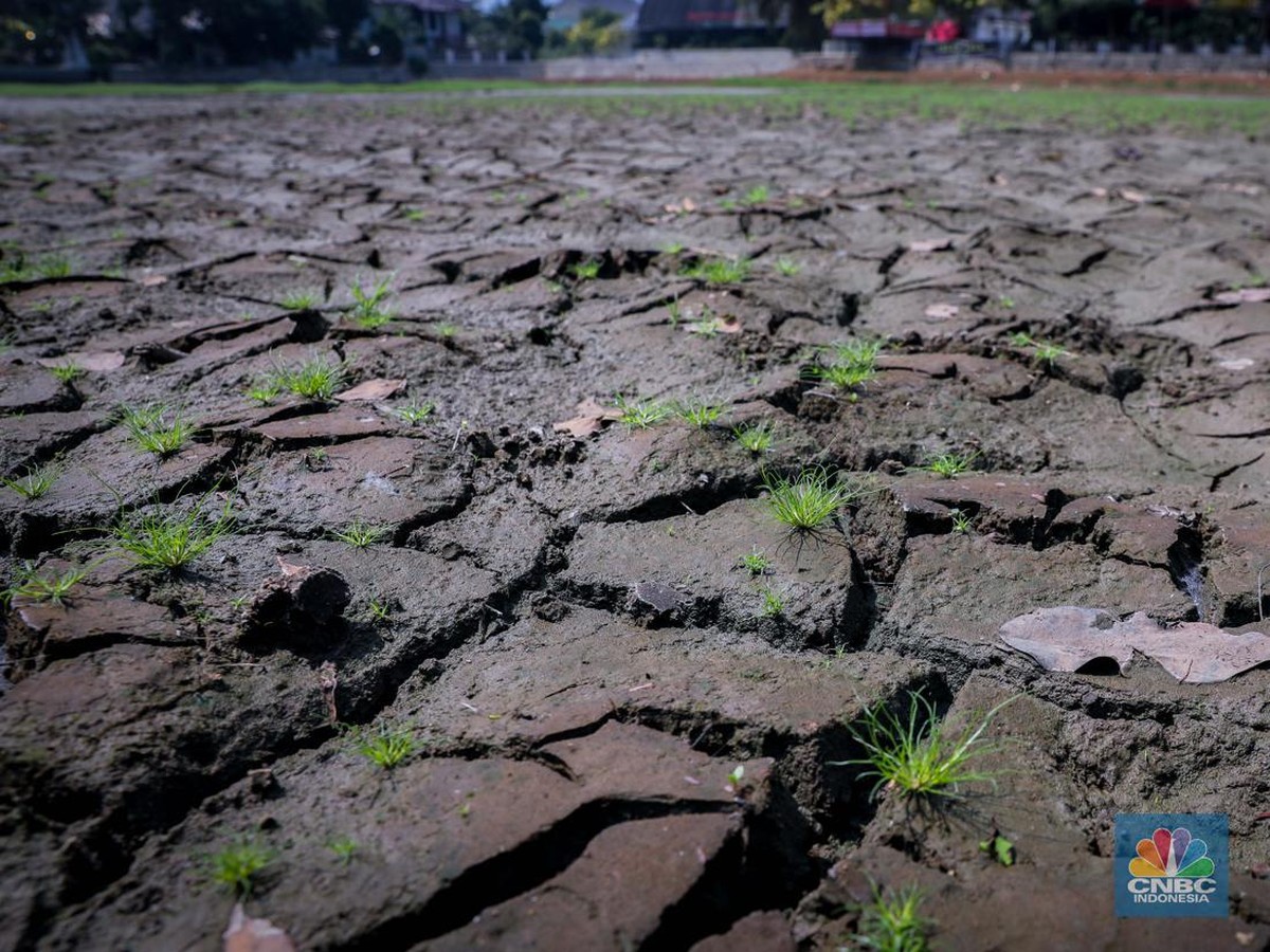 Bumi Melampaui Batas Pemanasan 1,5°C, Krisis Iklim Makin Mendesak