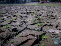 Tanda Kiamat Makin Dekat, Sisa Waktu Penghuni Bumi Cuma 10 Tahun
