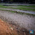 Seorang warga berjalan di tanah yang retak akibat kekeringan di Danau Cinere, Depok, Jawa Barat, Rabu (27/9/2023). (CNBC Indonesia/Faisal Rahman)
