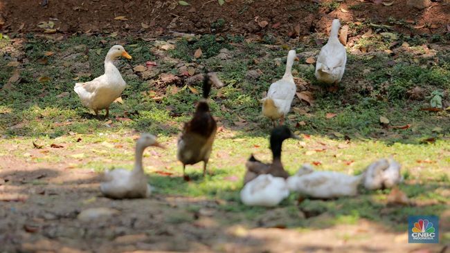 Asik! 3 Taman Favorit Warga Jaksel Bakal Digabung