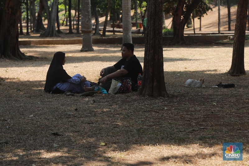 Suasana Taman Langsat salah satu dari sejumlah taman di Jakarta yang mengalami kekeringan saat ini, Rabu (27/9/2023). (CNBC Indonesia/Muhammad Sabki)