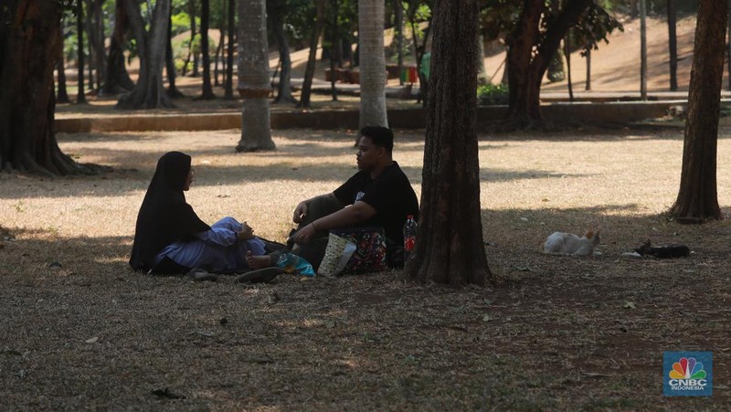 Suasana Taman Langsat salah satu dari sejumlah taman di Jakarta yang mengalami kekeringan saat ini, Rabu (27/9/2023). (CNBC Indonesia/Muhammad Sabki)