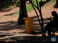 Mengenal Gorila El Nino, Ancaman Besar Bagi RI