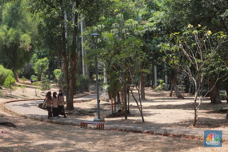 Suasana Taman Langsat salah satu dari sejumlah taman di Jakarta yang mengalami kekeringan saat ini, Rabu (27/9/2023). (CNBC Indonesia/Muhammad Sabki) Suasana Taman Langsat salah satu dari sejumlah taman di Jakarta yang mengalami kekeringan saat ini, Rabu (27/9/2023). (CNBC Indonesia/Muhammad Sabki)
