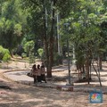 Suasana Taman Langsat salah satu dari sejumlah taman di Jakarta yang mengalami kekeringan saat ini, Rabu (27/9/2023). (CNBC Indonesia/Muhammad Sabki)