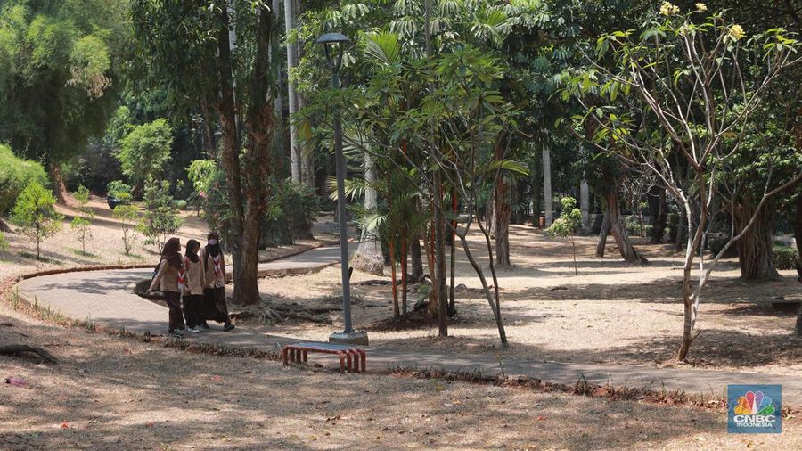 Suasana Taman Langsat salah satu dari sejumlah taman di Jakarta yang mengalami kekeringan saat ini, Rabu (27/9/2023). (CNBC Indonesia/Muhammad Sabki)