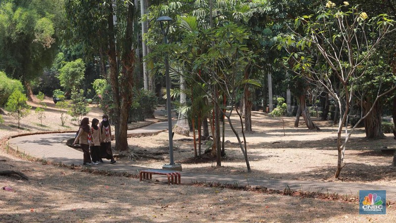 Suasana Taman Langsat salah satu dari sejumlah taman di Jakarta yang mengalami kekeringan saat ini, Rabu (27/9/2023). (CNBC Indonesia/Muhammad Sabki)