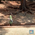 Waspada Wilayah RI Terancam Panas Mendidih, Ini Daftarnya