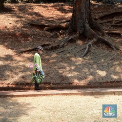 Waspada Wilayah RI Terancam Panas Mendidih, Ini Daftarnya