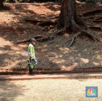 Penampakan Taman Kota DKI Kini Dihajar Kemarau Ekstrem