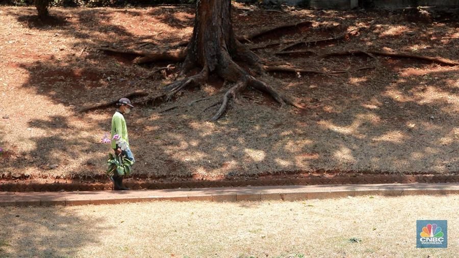 Suasana Taman Langsat salah satu dari sejumlah taman di Jakarta yang mengalami kekeringan saat ini, Rabu (27/9/2023). (CNBC Indonesia/Muhammad Sabki)