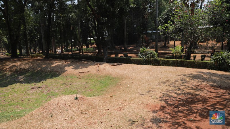 Suasana Taman Langsat salah satu dari sejumlah taman di Jakarta yang mengalami kekeringan saat ini, Rabu (27/9/2023). (CNBC Indonesia/Muhammad Sabki) Suasana Taman Langsat salah satu dari sejumlah taman di Jakarta yang mengalami kekeringan saat ini, Rabu (27/9/2023). (CNBC Indonesia/Muhammad Sabki)