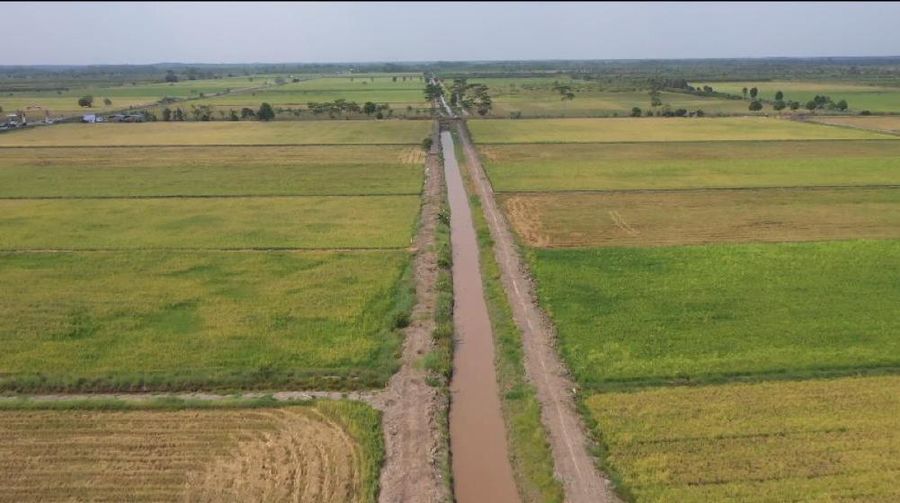Foto udara food estate Kalimantan Tengah. (Dok: Humas Kementan)