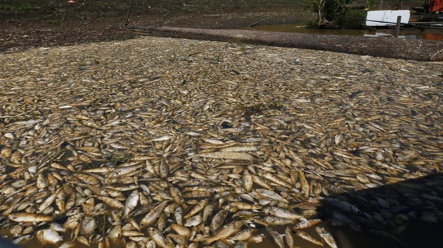 Foto udara menujukkan sebagian Sungai Amazon yang terkena dampak kekeringan parah di negara bagian Amazonas, dekat Manacapuru, Brasil, Rabu, 27 September 2023. (AP Photo/Edmar Barros)