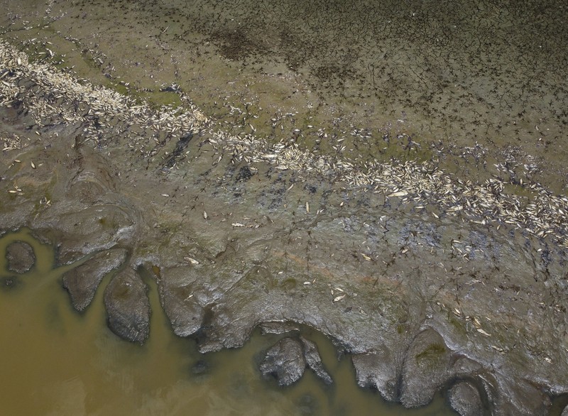 Foto udara menujukkan sebagian Sungai Amazon yang terkena dampak kekeringan parah di negara bagian Amazonas, dekat Manacapuru, Brasil, Rabu, 27 September 2023. (AP Photo/Edmar Barros) Foto udara menujukkan sebagian Sungai Amazon yang terkena dampak kekeringan parah di negara bagian Amazonas, dekat Manacapuru, Brasil, Rabu, 27 September 2023. (AP Photo/Edmar Barros)