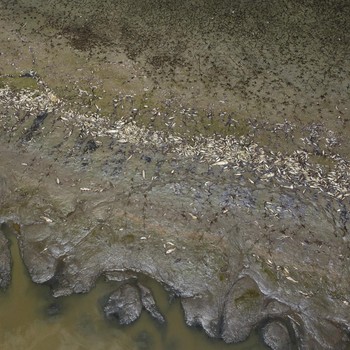 Tanda Kiamat Guncang Brasil, Sungai Amazon Mengering!