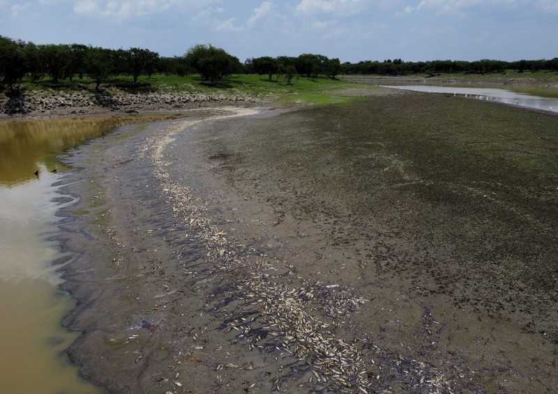 Foto udara menujukkan sebagian Sungai Amazon yang terkena dampak kekeringan parah di negara bagian Amazonas, dekat Manacapuru, Brasil, Rabu, 27 September 2023. (AP Photo/Edmar Barros) Foto udara menujukkan sebagian Sungai Amazon yang terkena dampak kekeringan parah di negara bagian Amazonas, dekat Manacapuru, Brasil, Rabu, 27 September 2023. (AP Photo/Edmar Barros)