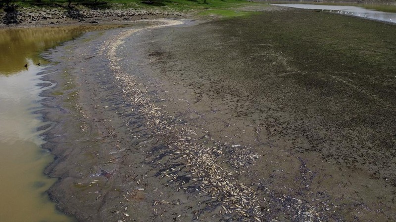 Foto udara menujukkan sebagian Sungai Amazon yang terkena dampak kekeringan parah di negara bagian Amazonas, dekat Manacapuru, Brasil, Rabu, 27 September 2023. (AP Photo/Edmar Barros)