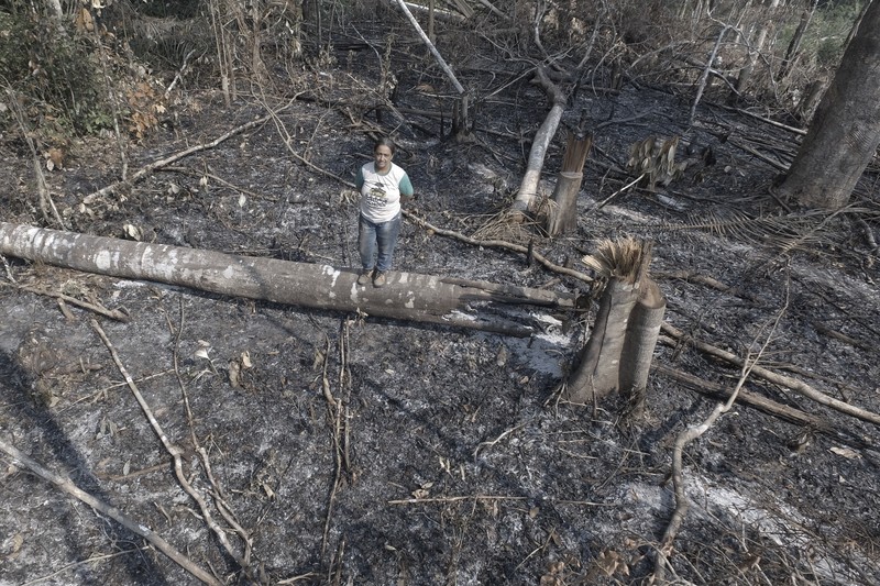 Foto udara menujukkan sebagian Sungai Amazon yang terkena dampak kekeringan parah di negara bagian Amazonas, dekat Manacapuru, Brasil, Rabu, 27 September 2023. (AP Photo/Edmar Barros) Foto udara menujukkan sebagian Sungai Amazon yang terkena dampak kekeringan parah di negara bagian Amazonas, dekat Manacapuru, Brasil, Rabu, 27 September 2023. (AP Photo/Edmar Barros)