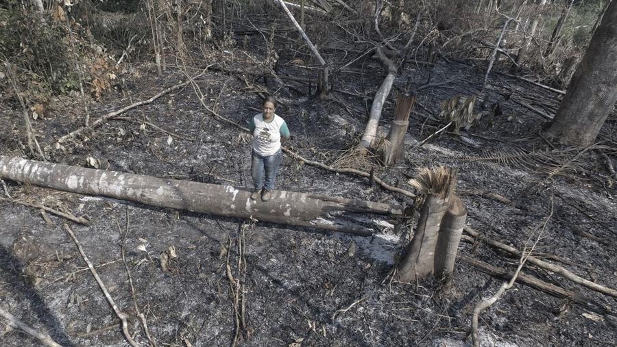 Foto udara menujukkan sebagian Sungai Amazon yang terkena dampak kekeringan parah di negara bagian Amazonas, dekat Manacapuru, Brasil, Rabu, 27 September 2023. (AP Photo/Edmar Barros)