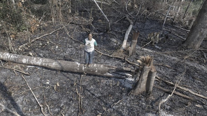 Foto udara menujukkan sebagian Sungai Amazon yang terkena dampak kekeringan parah di negara bagian Amazonas, dekat Manacapuru, Brasil, Rabu, 27 September 2023. (AP Photo/Edmar Barros)