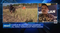Ada Ancaman Gagal Panen Efek El Nino, Kementan Lakukan Apa?