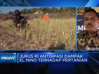 Ada Ancaman Gagal Panen Efek El Nino, Kementan Lakukan Apa?