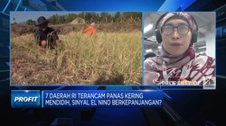 BRIN Sebut El Nino 2023 Mirip Siklus 1997, Apa Efek Buruknya?