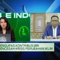 Investasi Industri Hijau Disebut Masih Mahal, Ini Kata BRI