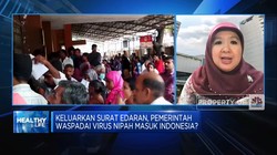 Video: Langkah Kemenkes Cegah & Waspadai Virus Nipah!
